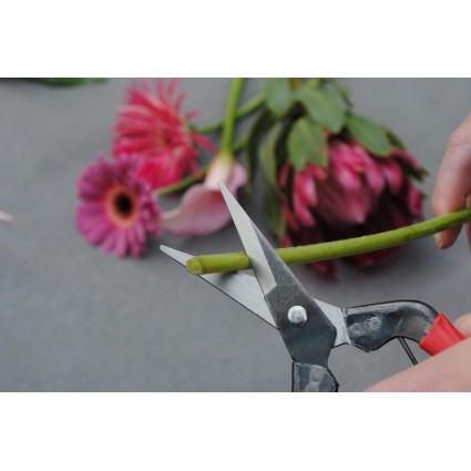 Gėlių-žirklės-Okatsune-304-sodo-įrankiai